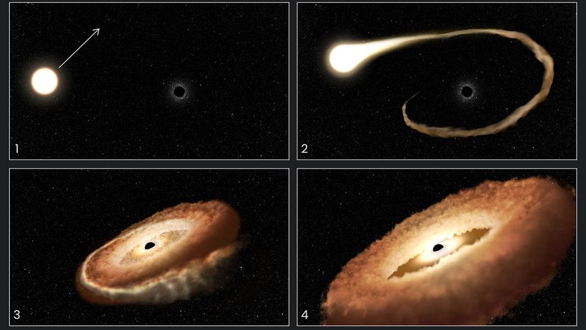 Black hole devouring star