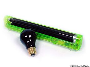 Black lights come in both tube and bulb form.