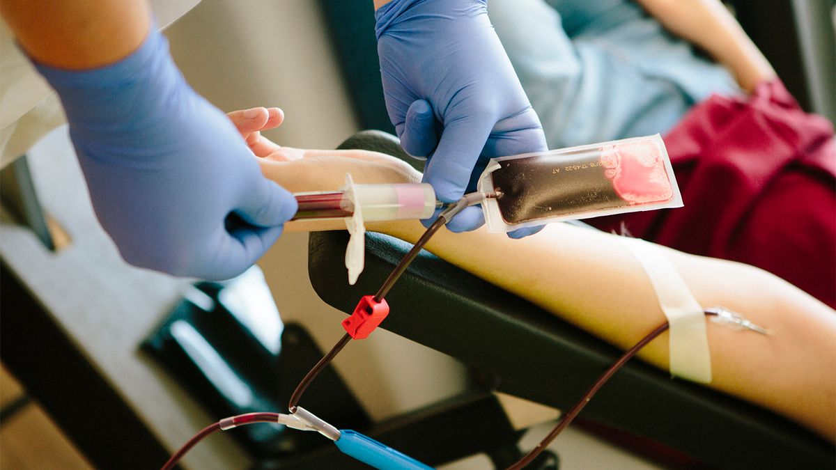 Veins, Needles, Yikes What to Know Before Having Blood Drawn