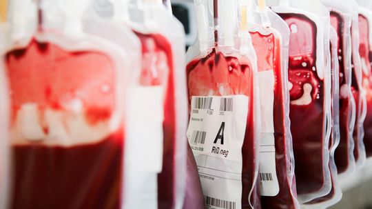 Blood Quiz: Do you know what's flowing through your veins?