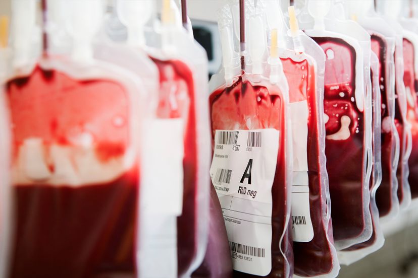 Blood Quiz: Do you know what's flowing through your veins?