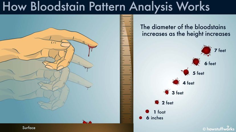 Color changes observed as bloodstains of 45.0 μL dried over time