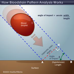 Angle of impact of a blood droplet