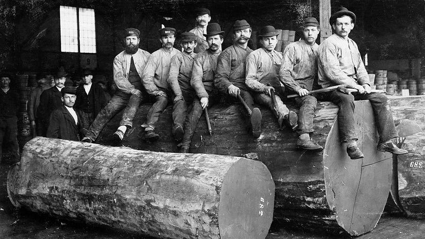 miners, 1880