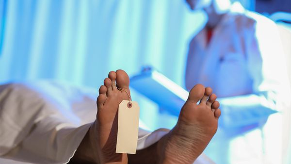 Doctor treating men's adult foot at hospital.