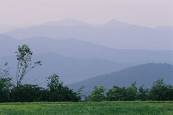 Pisgah National Forest