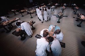 1988年，医学生剖析了巴黎Ecole De Medicine的手术室中的尸体。“width=