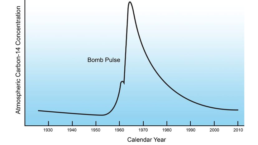 bomb pulse