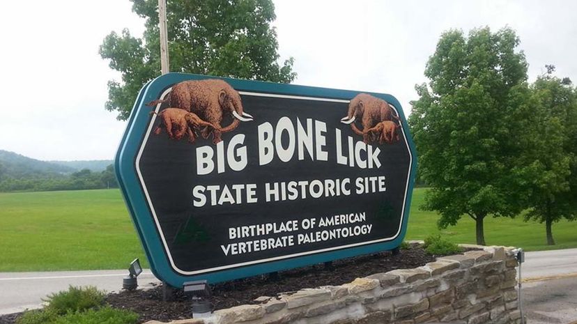 Big Bone Lick National Park Mark Mancini