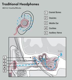 Ear buds deliver sound through the outer ear, the eardrum and on to the cochlea. 