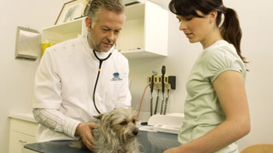 How Bordetella Vaccines Work