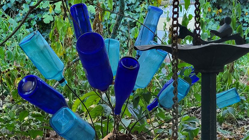 Southern Bottle Trees: A Unique Southern Tradition with Ancient Origins