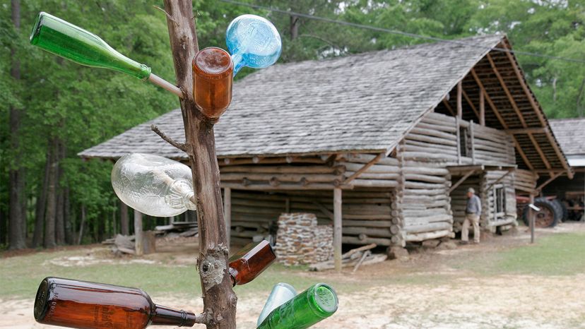 Bottle trees, a Southern tradition that brightens the garden - Digging