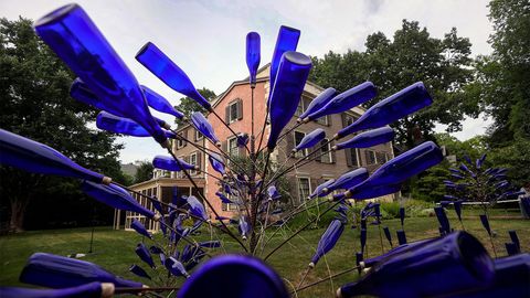 Bottle Trees: A Beautiful Tradition With a Spiritual Past - Vimarsana News