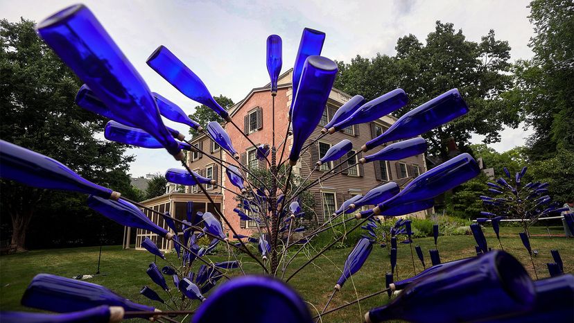 Real Monstrosities: Bottle Tree