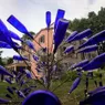 Bottle Trees: A Beautiful Tradition With a Spiritual Past