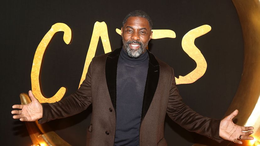 Idris Elba, Cats