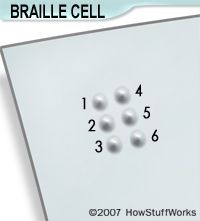A Braille cell has six dots.