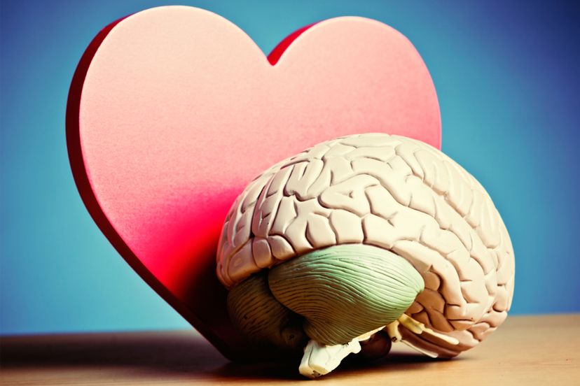 This is your brain on love: The Science of Love Quiz