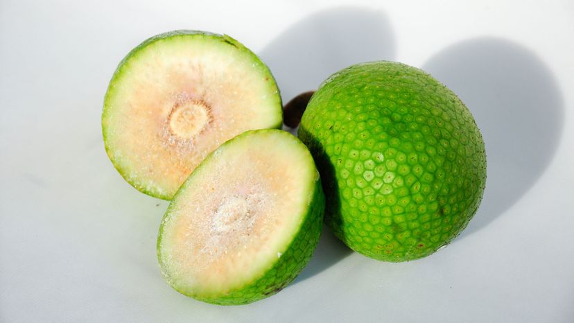 Breadfruit