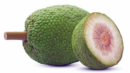 Could Breadfruit Be the Next Superfood?