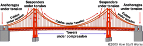Bra for you - What do a bra and a suspension bridge have in common?  Actually much more than you think. They share the same construction  principals! The suspension bridges use cables