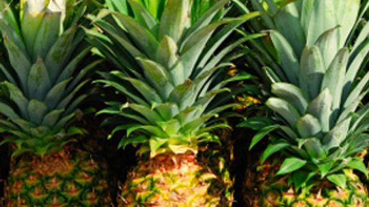 Bromelain: What You Need to Know