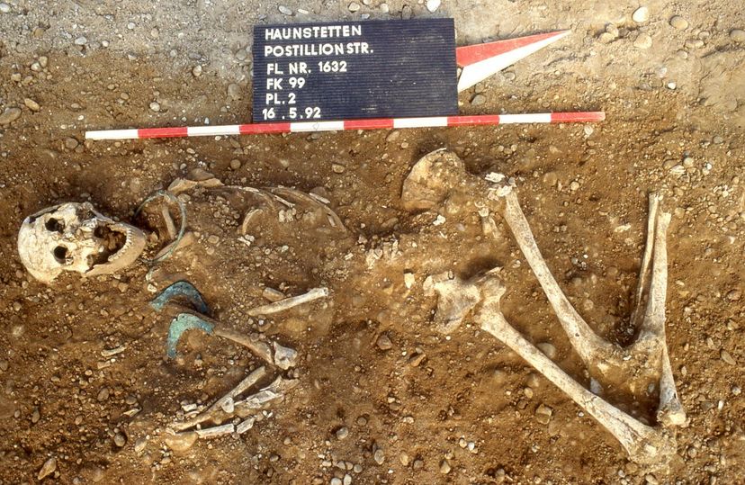 archaeological dig, germany, bones, human remains