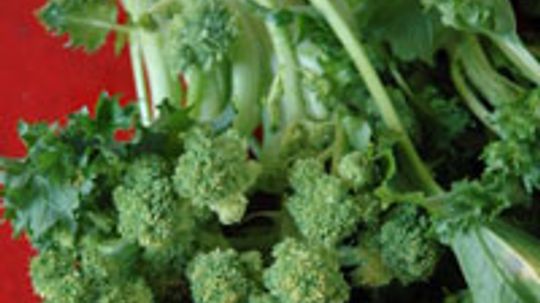 Broccoli Rabe: Natural Food