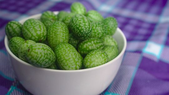 Cucamelon：不是黄瓜和西瓜的爱孩子“border=