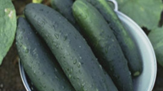 Cucumbers: Natural Food