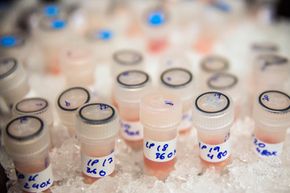 Vials containing biological samples are kept on ice before being analysed to see how they are affected by chemotherapy drugs at the Cancer Research UK Cambridge Institute.