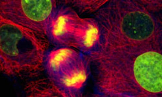 卵巢癌问题和答案＂class=