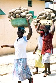 Market women carry roots to market in Acra, Ghana