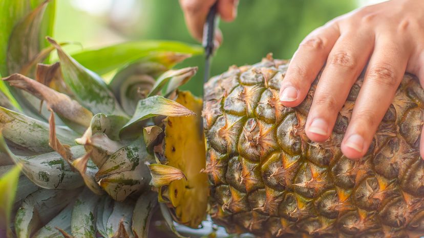 person cutting pineapple