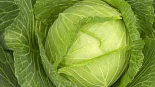 Cabbage Soup Diet: What You Need to Know