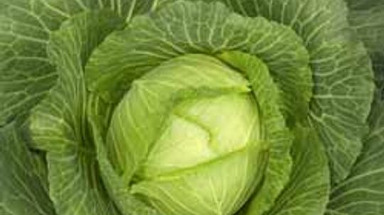 Cabbage: Natural Weight-Loss Food