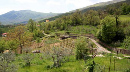 终极指南卡拉布里亚葡萄酒产区”width=