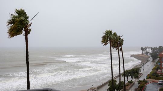Uncovering the Rare Occurrence of Hurricane California