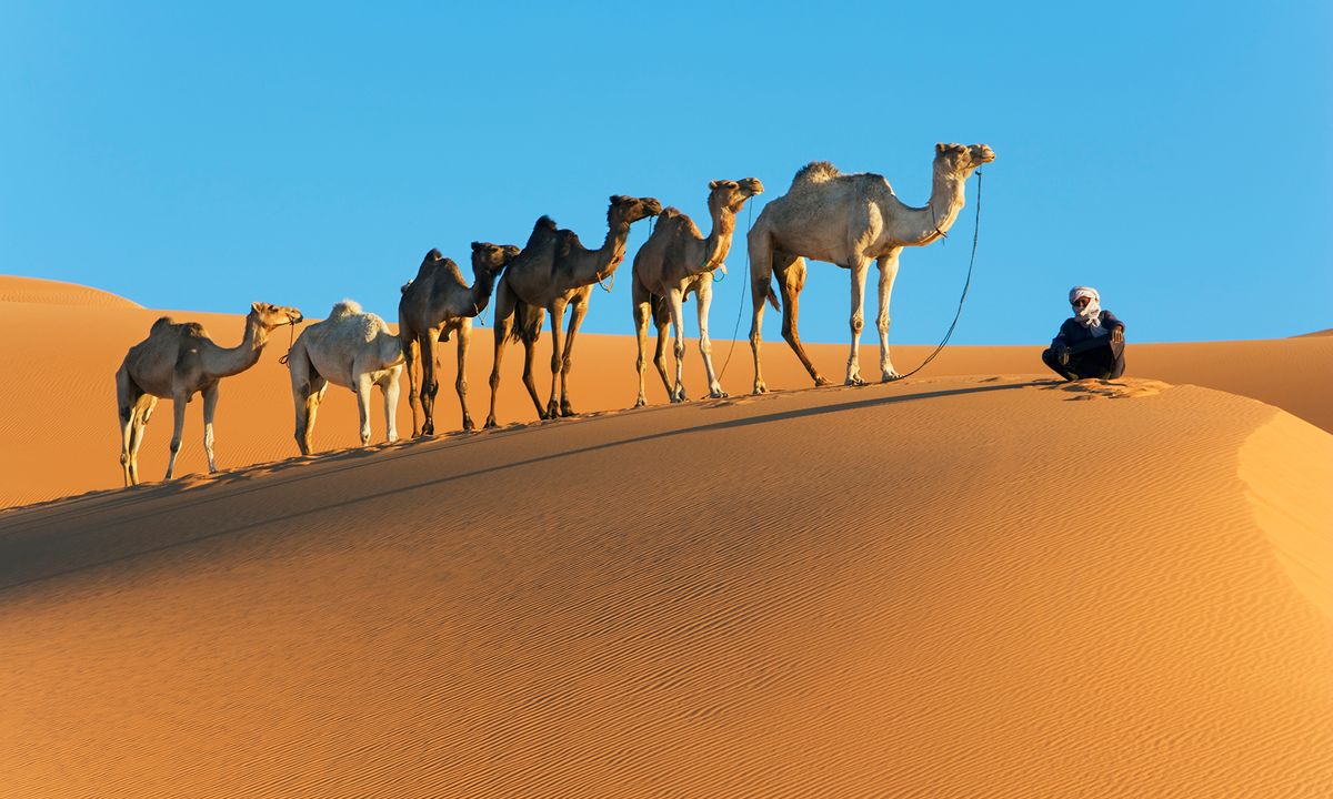 Camel Humps and Other Water-saving Tactics - Camel Humps | HowStuffWorks