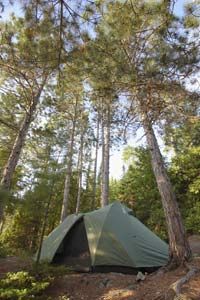 How to Tie Fishing Rods to a Roof Rack