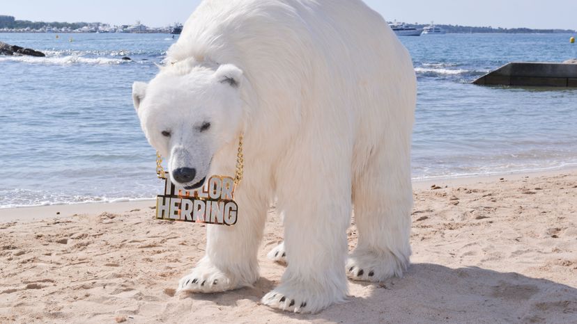 A lifelike 8-foot mechanical polar bear commissioned by ad agency Taylor Herring appears on the beach during the Cannes Lions 2016 in Cannes, France. Christian Alminana/Getty Images