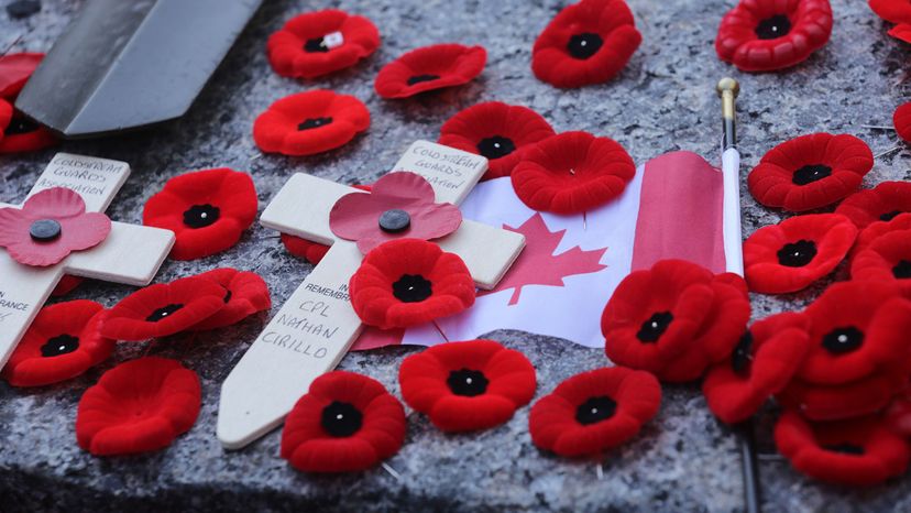 Poppies lie on the Tomb of the Unknown Soldier