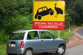 A car parked in front of a road sign that says "Speeding Has Killed Cassowaries".