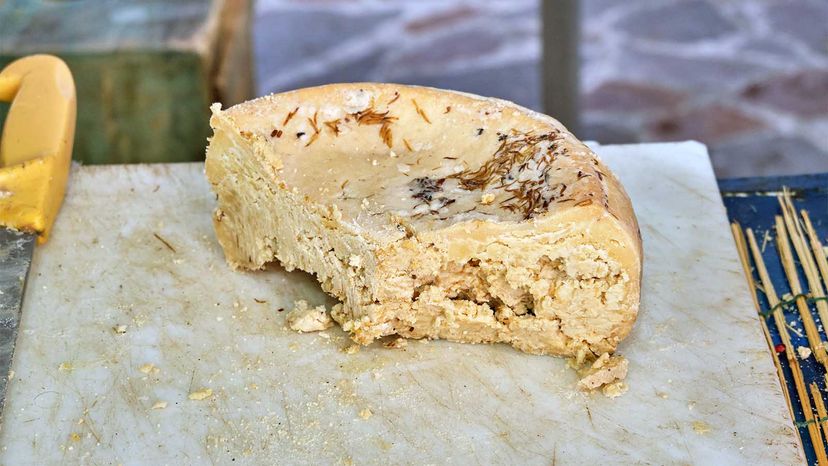 Would You Eat Casu Marzu, the Illegal Cheese With Maggots? | HowStuffWorks