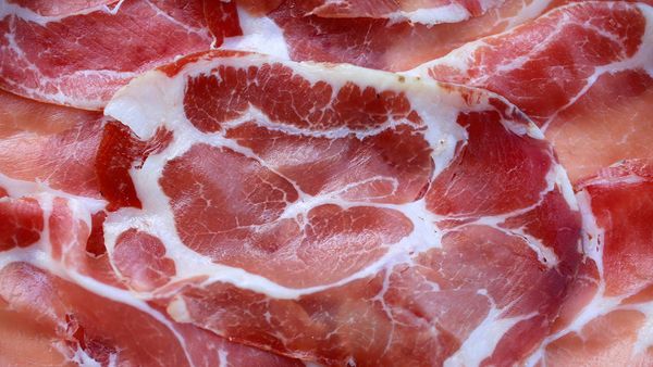 capocollo