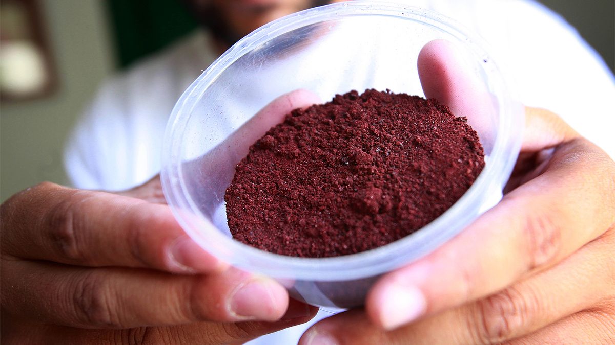 How Carmine, the Red Dye Made From Bugs, Makes It Into Your Food ...