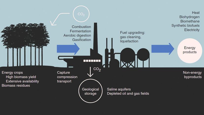 Carbon Sequestration: Carbon Capture, Removal, Utilization, and Storage