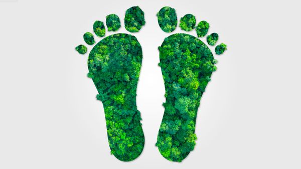Human footprint isolated in natural environment.