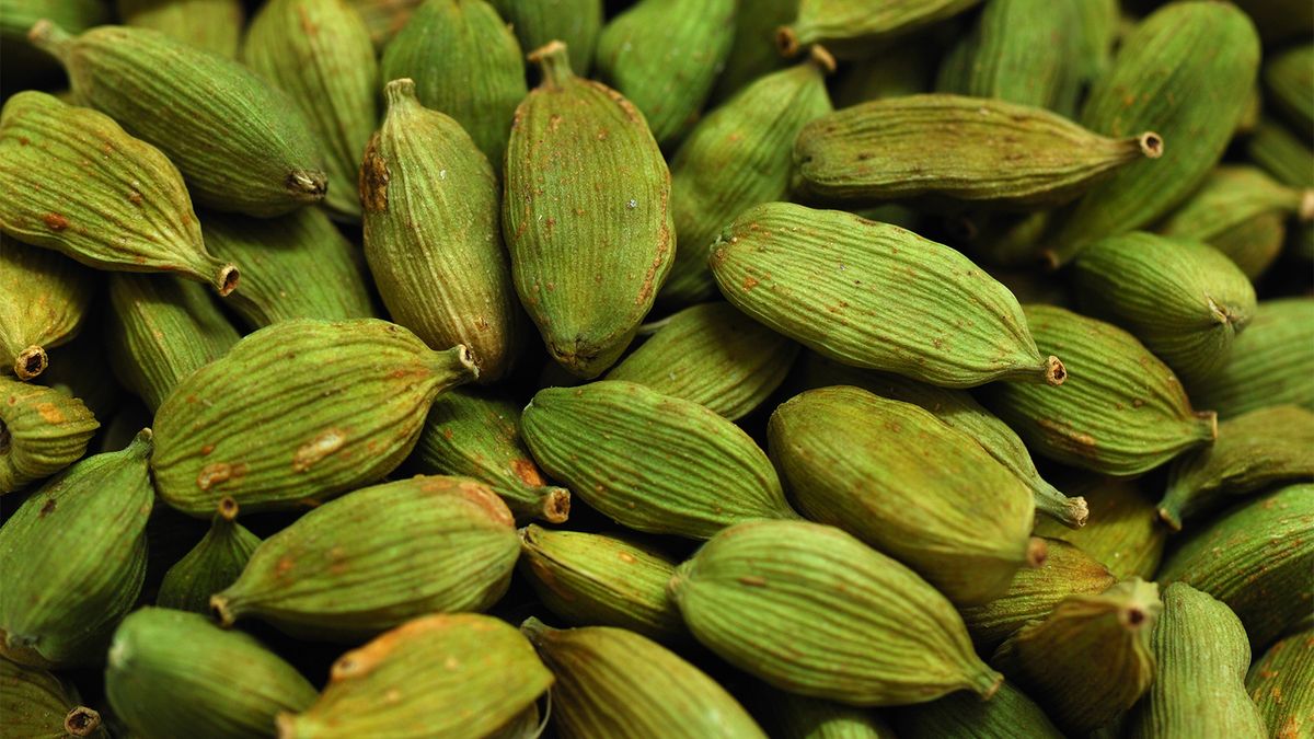 What Does Cardamom, the ‘Queen of Spices,’ Taste Like?